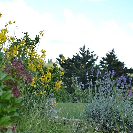 Bed & Breakfast Tenuta Massabo