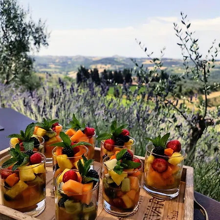 Tenuta Massabo * San Casciano in Val di Pesa