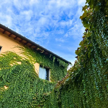 Tenuta Massabo * San Casciano in Val di Pesa